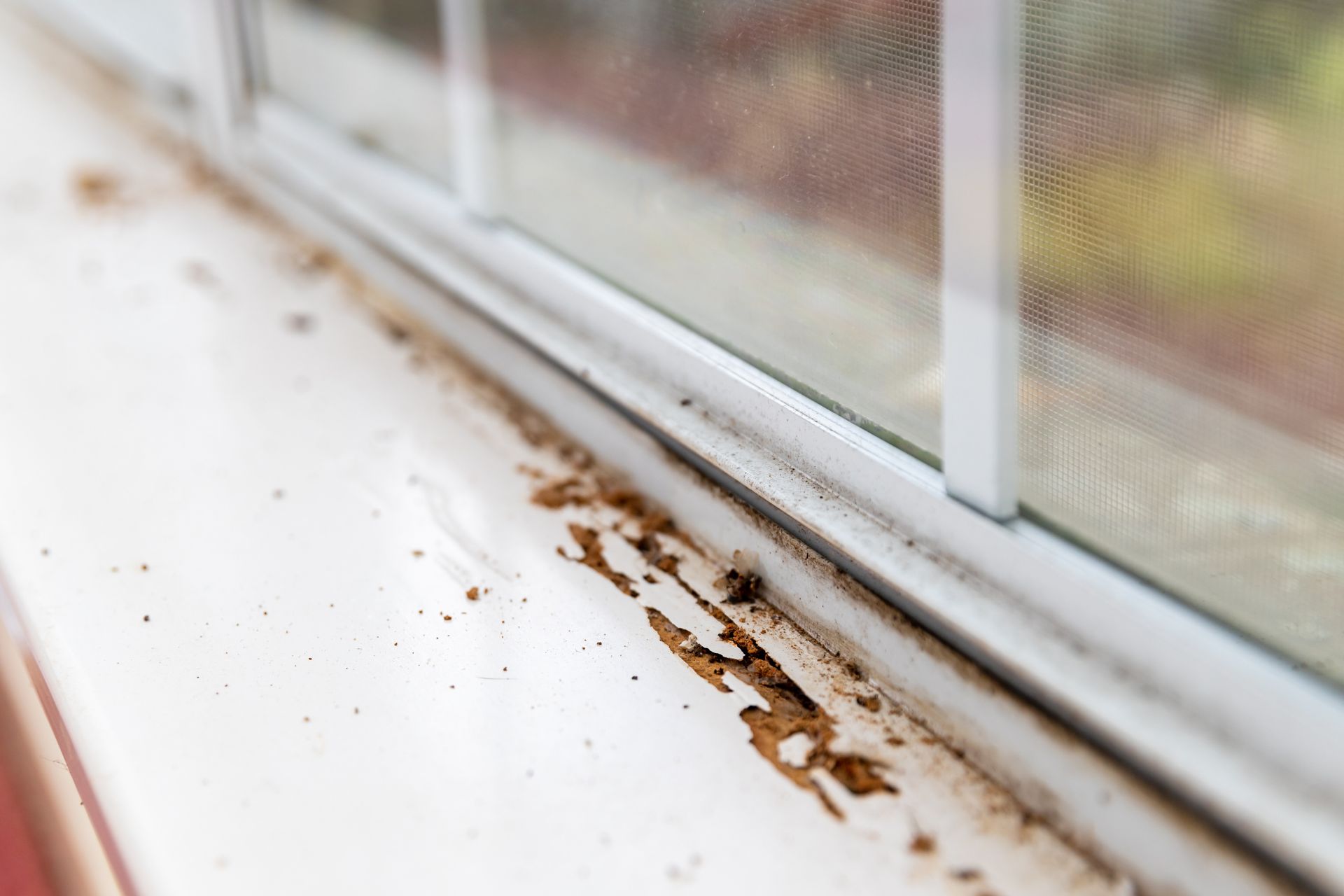 6 Shocking Hidden Dangers Lurking in Your Home Safety First Home